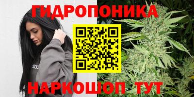 прущие крисы Ангарск