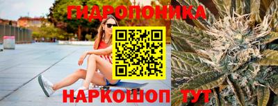 Альфа ПВП Анапа