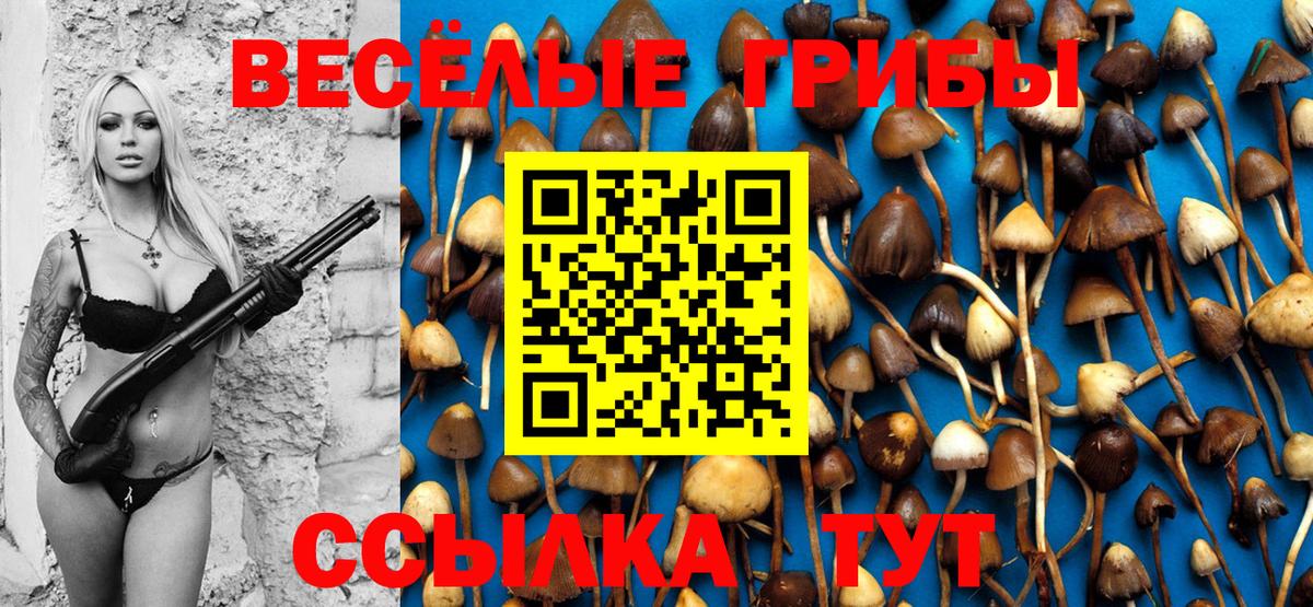 Псилоцибиновые грибы мухоморы Волжск