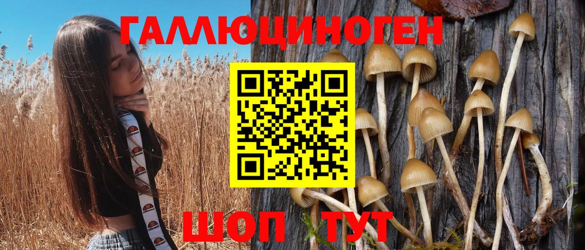 Волжск  Псилоцибиновые грибы GOLDEN TEACHER  Вход с VPN 