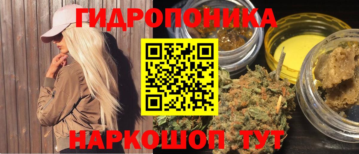 Марихуана конопля  Каннабис сатива  Канабис THC 21%  Вход с VPN  Канабис план  Волжск 